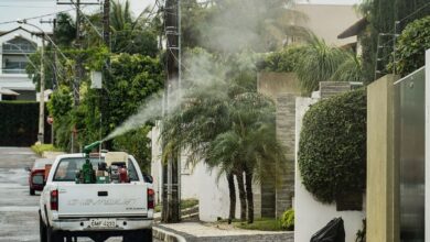 Brazil nears 1 mi probable dengue cases